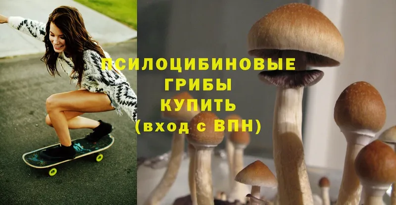 Псилоцибиновые грибы Magic Shrooms  Менделеевск 